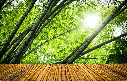 末发育牲XXⅩDH视频,揭秘行业黑幕，共创公平游戏江湖