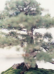男同gv网站,网络盛宴下的反思：同性文化边缘的健康发展之路-1