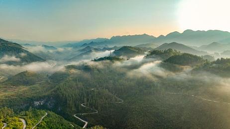 黄包软件视频,沉浸式体验！揭秘黄包游戏视频亮点与攻略解析，玩家好评如潮