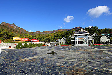 丁香花五月激,诗意五月，丁香花开满城春意-1