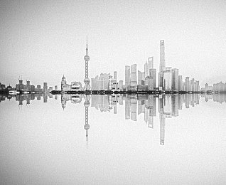 猫咪成人社区www.87oc○m,萌宠风情，成人秘境，探索未知乐园-1