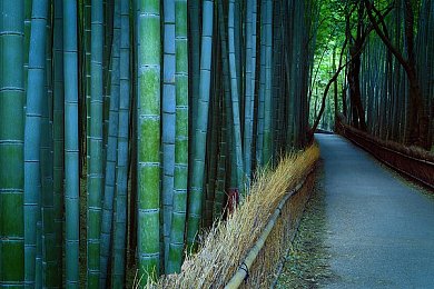 色一情一区二,探索奇幻世界：“色一情一区二”引领游戏新潮流，玩家好评如潮