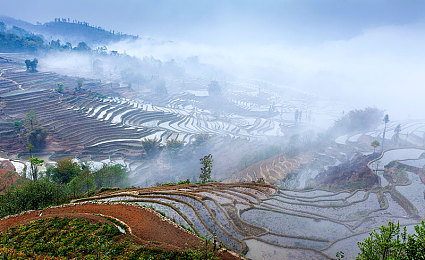 火影调教所游戏18,火影巅峰之旅，激情养成，梦想成影