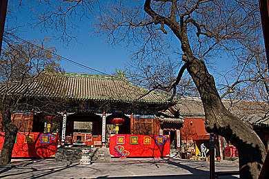 99都是精品,小众神作挑战你的游戏审美极限-3