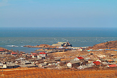 tiktok国际色板黄,色彩世界之旅，艺术融合梦想启航-1