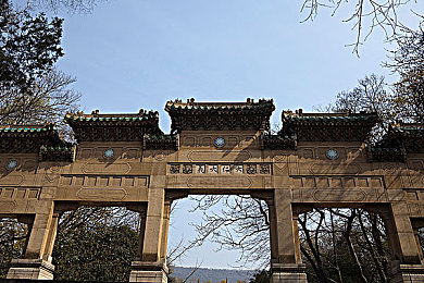 www黄色,色彩秘境探险，谜题迭起解密之旅