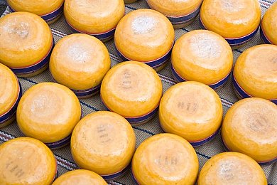 今日黑料,网络迷雾深处：揭秘网络舆论的隐秘乐园