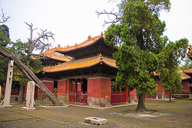 《三上和崧泽小职员》是哪一部,《揭秘职场模拟游戏《三上和崧泽小职员》：体验职场酸甜苦辣-1