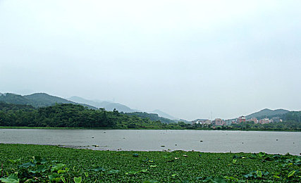 安禄山霸占玉环香港版,权力漩涡，红颜暗战，枭雄帝国-1