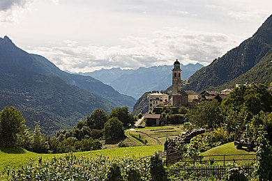 1995年意大利版泰山,勇闯非洲秘境：泰山传奇，探险新篇章-2