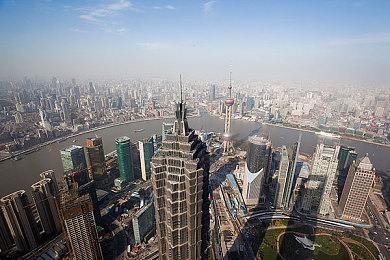 猫咪网站,治愈猫咪奇幻之旅，探索温馨互动乐园