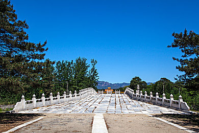 天天色播,探寻彩播秘境，畅游虚拟乐园