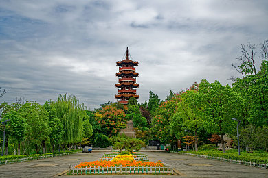 妞干网免费,古墓探秘之旅，免费解谜战斗乐无穷
