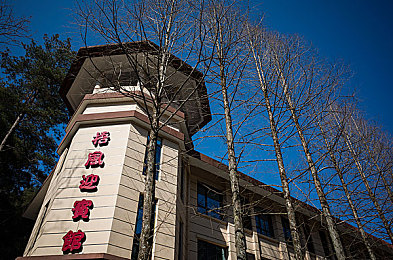 插鸡吧软件,欢乐互动乐园，轻松拓展社交圈