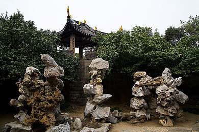 十八禁网站,净化网络青春守护，专项行动铸就清朗空间