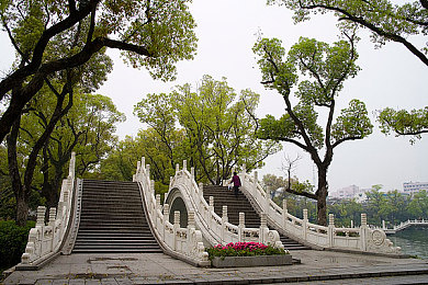 黄色软件app3＊03,网络毒瘤现形记，清朗空间共守护