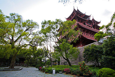 www.一个人,数字孤独共鸣：网络空间中的心灵守望者集结地-2