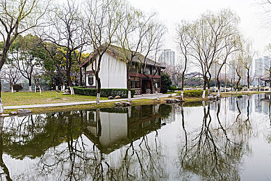 女生自慰软件,女性自我关爱之旅，科技陪伴身心舒展-3
