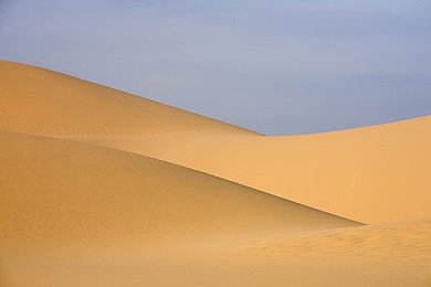 红桃47.38,破解游戏奥秘，红桃之力助你一统江湖-1