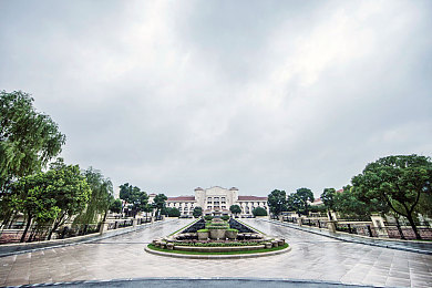 黄网站怎么下,揭秘网络迷雾：合法学习背后的“黄网站”下载指南，揭秘安全合规之道-3