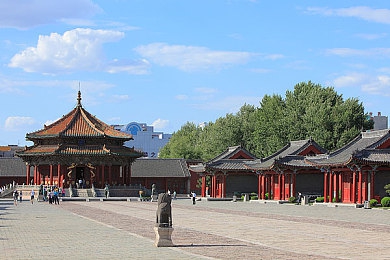 东北肌肉篮球打桩机,“东北篮球新星，梦想铸就传奇，赛场独领风骚”