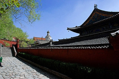 天涯海角妈妈绿意盎然,不畏艰辛播绿家园，李梅妈妈环保行动感动全网