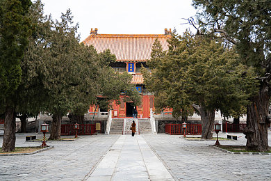 黄色软件下载OPPO大全,手机应用安全警钟长鸣，OPPO携手净化网络净土-4
