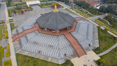 糟老头免费版下载安装,奇幻之旅轻松启程：一探《糟老头》免费版魅力世界-4
