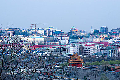 男同游戏,探索多元世界，共鉴情感之旅——游戏题材新篇章