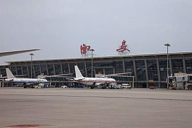 五月天开心丁香,乐韵丁香，唤醒生活阳光之美-2