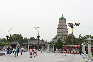 黄瓜软件,科技革新引领生活便捷，新锐应用“黄瓜”崛起引发热议-3