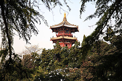 黄色软件免费下载3.0.3,揭秘免费陷阱，守护网络安全，远离恶意应用-2