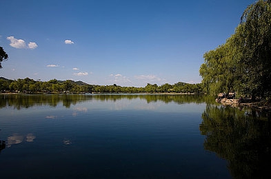 亚瑟纸箱厂全景沟厕的由来和历史,亚瑟纸箱厂创新全景设计，厕所变美景提升员工幸福感-1