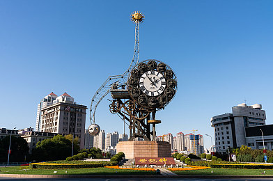电梯间里的梅花二度老年人,都市角落，岁月梅香——电梯间的温馨画卷-3