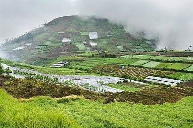 黄色app免费下载3.03,“免费诱惑下的网络隐患：揭秘“黄色app”免费下载引发的争议与监管”-4