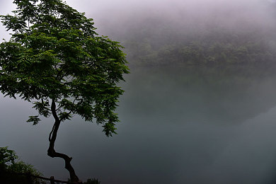 撕开她的 吸奶头打扑克,另类牌局冲击视觉，扑克盛宴点燃文化火花-2