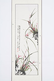 黄色3.0.3oP,科技新宠揭秘：3.0.3oP智能产品引领未来生活潮流