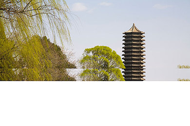 快猫短视频网站,短视频时代浪潮中，快猫引领潮流：打造生活新篇章-4