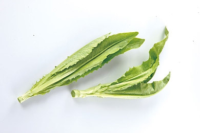 黄色直播软件下3.0,高清互动，个性定制，畅享直播新境界-1