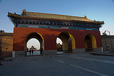 我的大胸继拇5,奇幻冒险，多角色互动，探索奇幻世界——畅游“大胸继拇5”-2