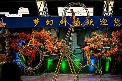 快喵vpv,宠物乐园狂欢直播，趣味宠趣尽在指尖-3