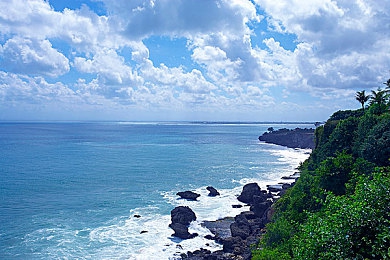 六月丁香五月天,春意盎然丁香香，夏日旅游新亮点：探寻南方花海盛景的魅力之旅-3