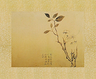 黄色软件推荐3.03,软件导航新篇章，便捷体验尽在掌握-3