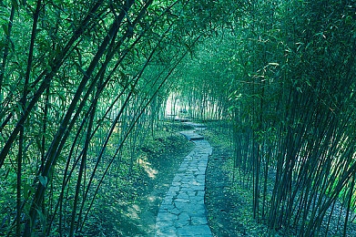 黄色十大止禁较件,揭秘禁播游戏魅力：盘点十大争议之作，体验禁忌快感-2