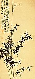 男生女生操操软件,健康互动，乐享运动，健身伙伴新选择-5