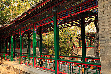 杨贵妃三级,倾国倾城：杨玉环传奇之旅-4