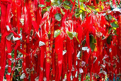 黄色软件下载渠道链接,揭秘惊悚优势，畅享安全下载：揭秘软件天堂的秘密技巧-2