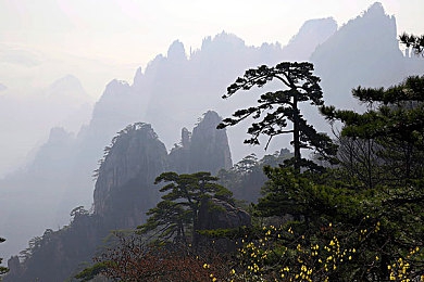 揉我胸 啊 嗯～出水了小樱,探秘“出水了小樱”：游戏互动新境界，玩家沉浸体验解析-3