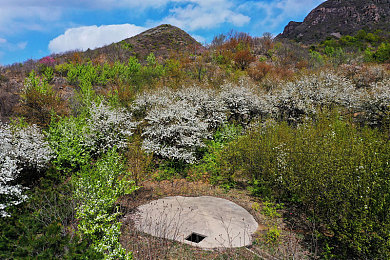 pali2.city轻量版,游戏体验新风向，轻量革命引领潮流，pali2.city轻量版开启畅玩新时代-4