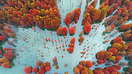 插鸡吧软件,欢乐互动乐园，轻松拓展社交圈-5